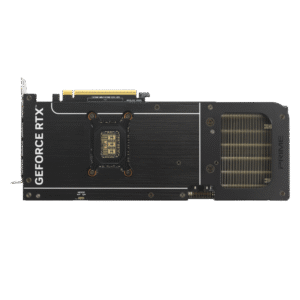 w800 5